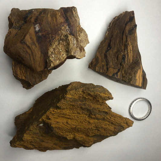 Arizona Petrified Wood Rough