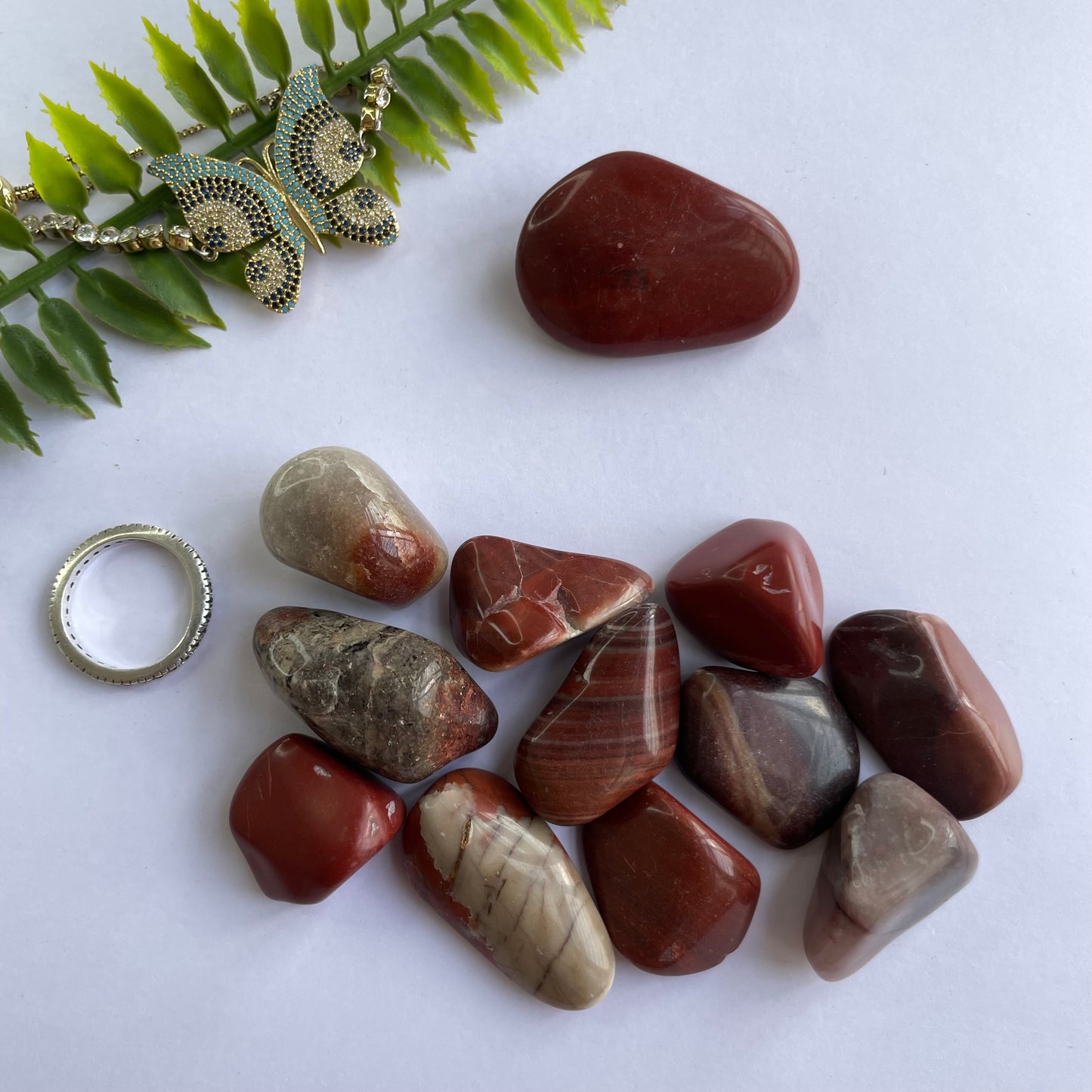 Petrified Wood Tumbled