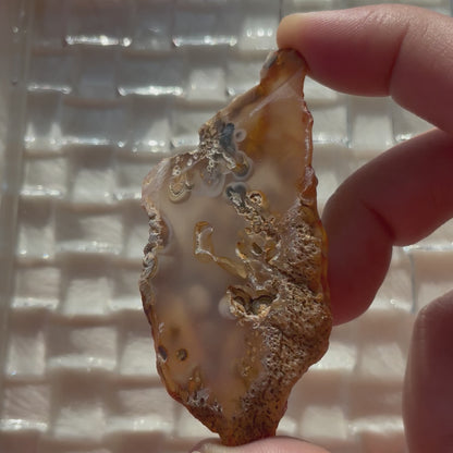 Enhydro Agate (H: 40 g)